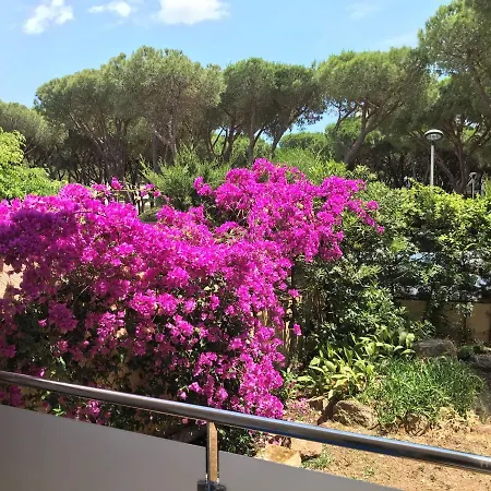 T3 De 65 M2 Terrasse Jardin A 300 M De La Apartment