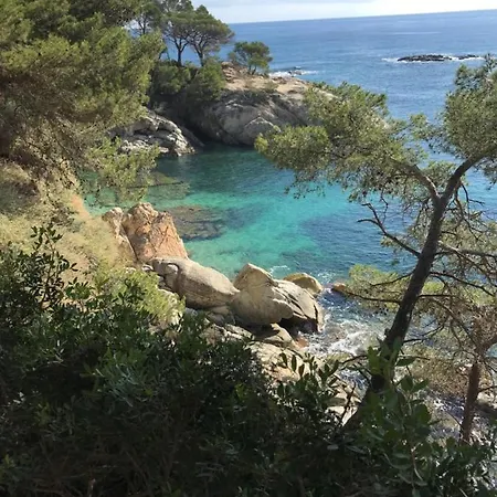 T3 De 65 M2 Terrasse Jardin A 300 M De La Platja d'Aro