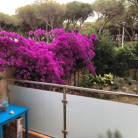T3 De 65 M2 Terrasse Jardin A 300 M De La * Platja d'Aro