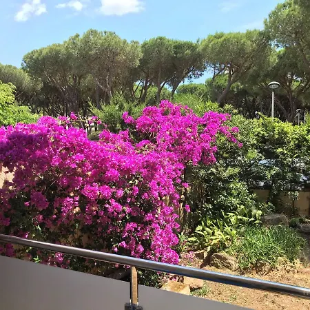 T3 De 65 M2 Terrasse Jardin A 300 M De La Lägenhet